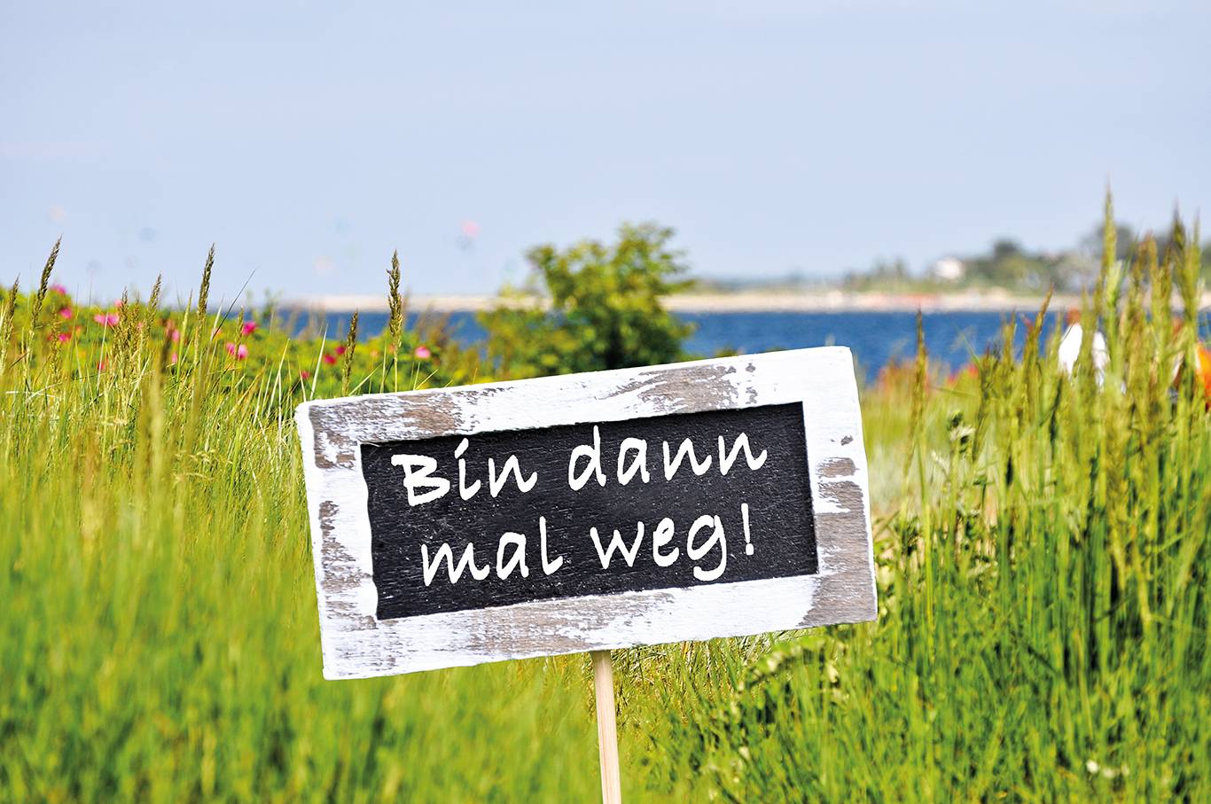 Überraschungs-Busreise ins Ausland