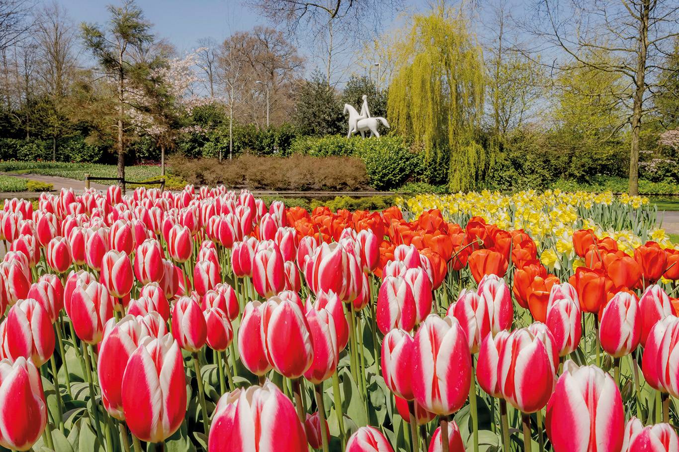 Keukenhof mit Blumenkorso