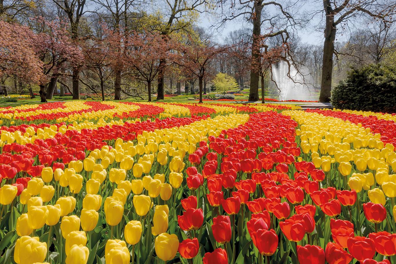 Keukenhof und Kagerseen - Schifffahrt