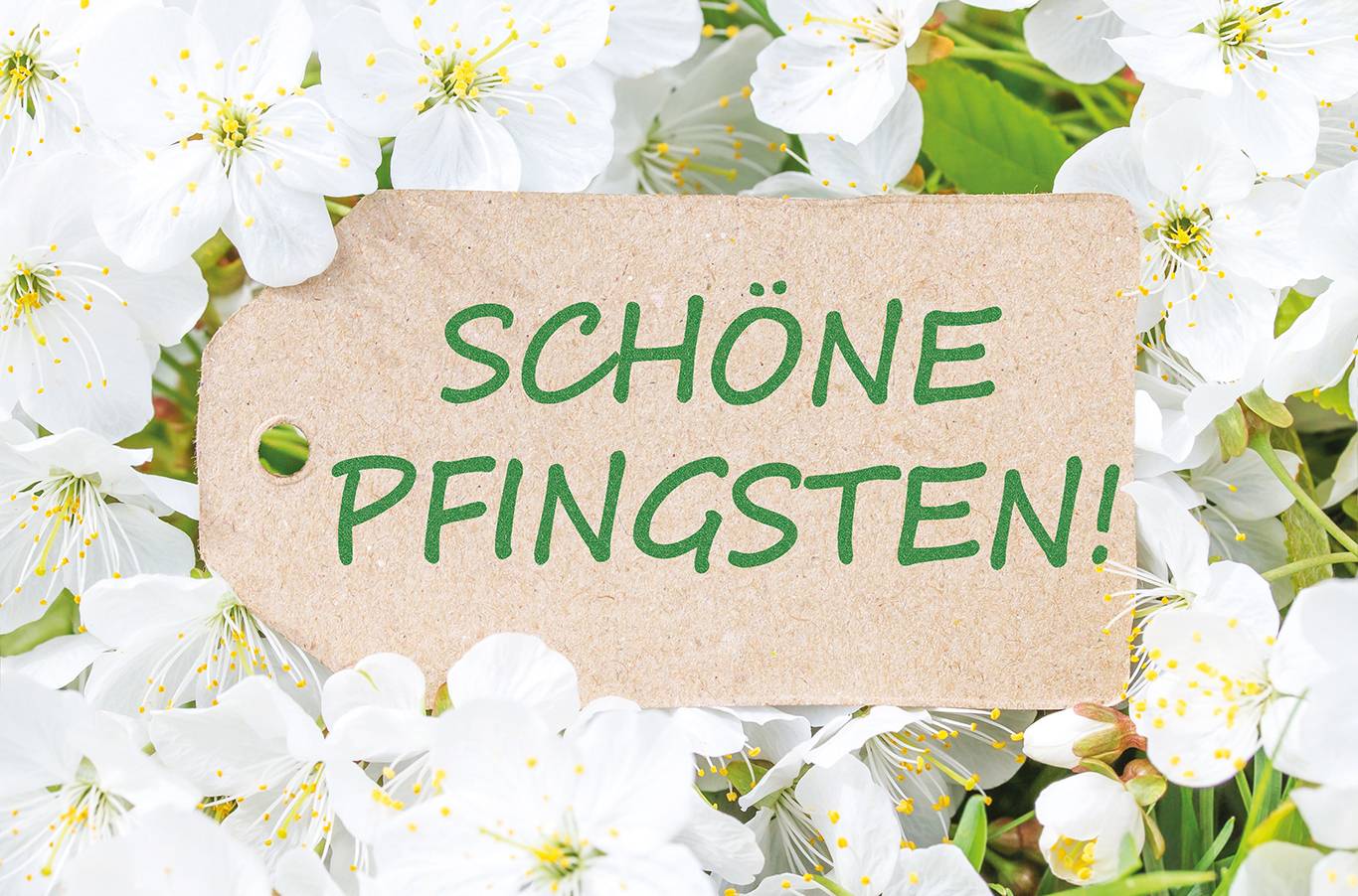 Pfingsten ins Blaue