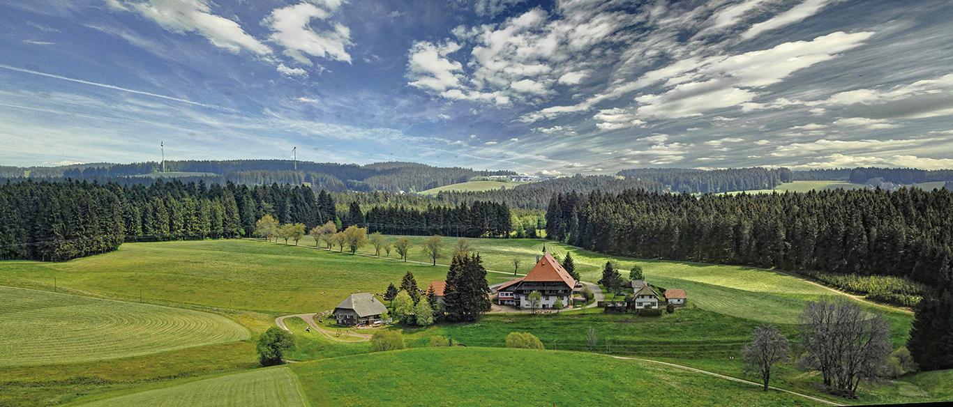 Frühling im Schwarzwald