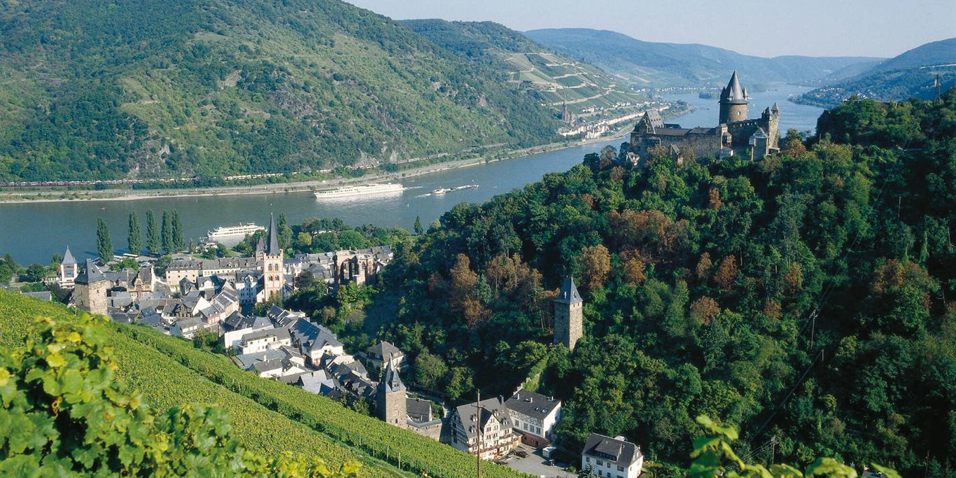 Der Rhein und seine Burgen