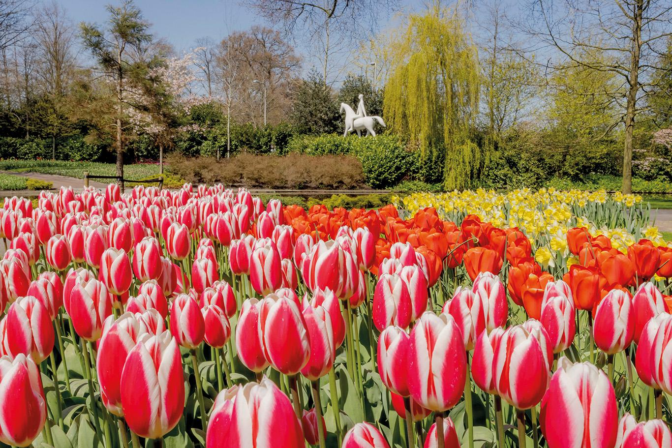 Keukenhof mit Blumenkorso