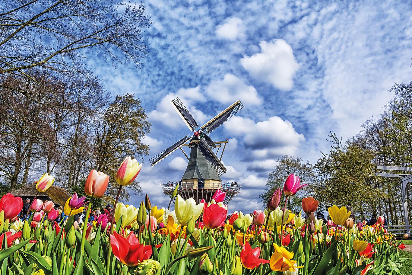 Keukenhof